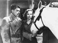 Reagan Ronald Stallion Road z4 film star poster A4 Photo Print