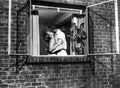 Rear Window 07  film star poster A4 Photo Print