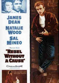  Rebel Without A Cause 03 film star poster A4 Photo Print