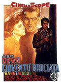 Rebel Without a Cause 08  film star poster A4 Photo Print