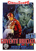 Rebel Without a Cause 09  film star poster A4 Photo Print