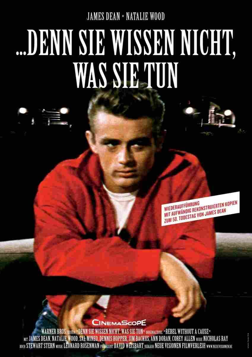 Rebel Without a Cause 11  film star poster A4 Photo Print
