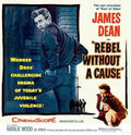 Rebel Without a Cause 13  film star poster A4 Photo Print