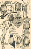 Red Bra Girdle Vintage Retro Advert Ads A4 Photo Print