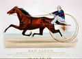 Red Cloud Horse 001 Vintage A4 Photo Print