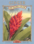 Red Ginger Bigisland Vintage Retro Advert Ads A4 Photo Print