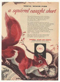 Red Squirrel Nut Vintage Retro Advert Ads A4 Photo Print