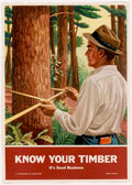 Redwood Timber Business American World War II Advert Poster