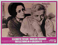Reflections in a Golden Eye 05  film star poster A4 Photo Print