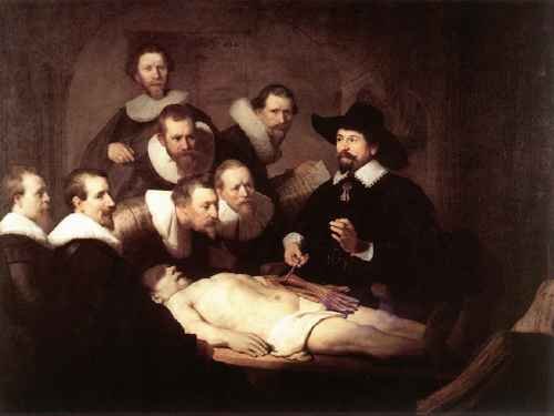 Rembrandt Rembrandt 32Tulp A4 Photo Print