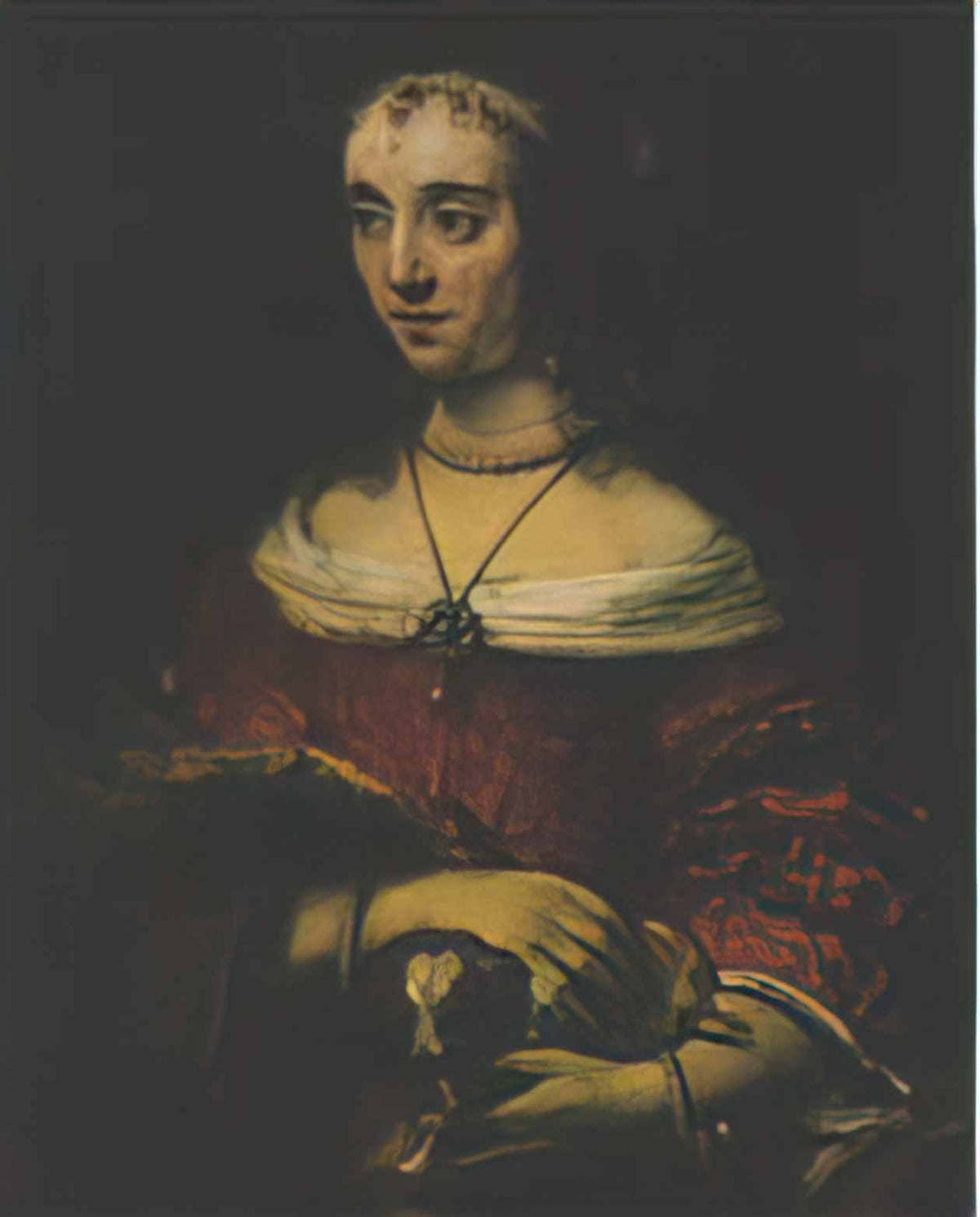 Rembrandt lady with a lap dog Art A4 Photo Print