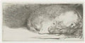 Rembrandt sleeping puppy 1640 Art A4 Photo Print