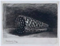 Rembrandt the shell conus marmoreus 1650 1 Art A4 Photo Print