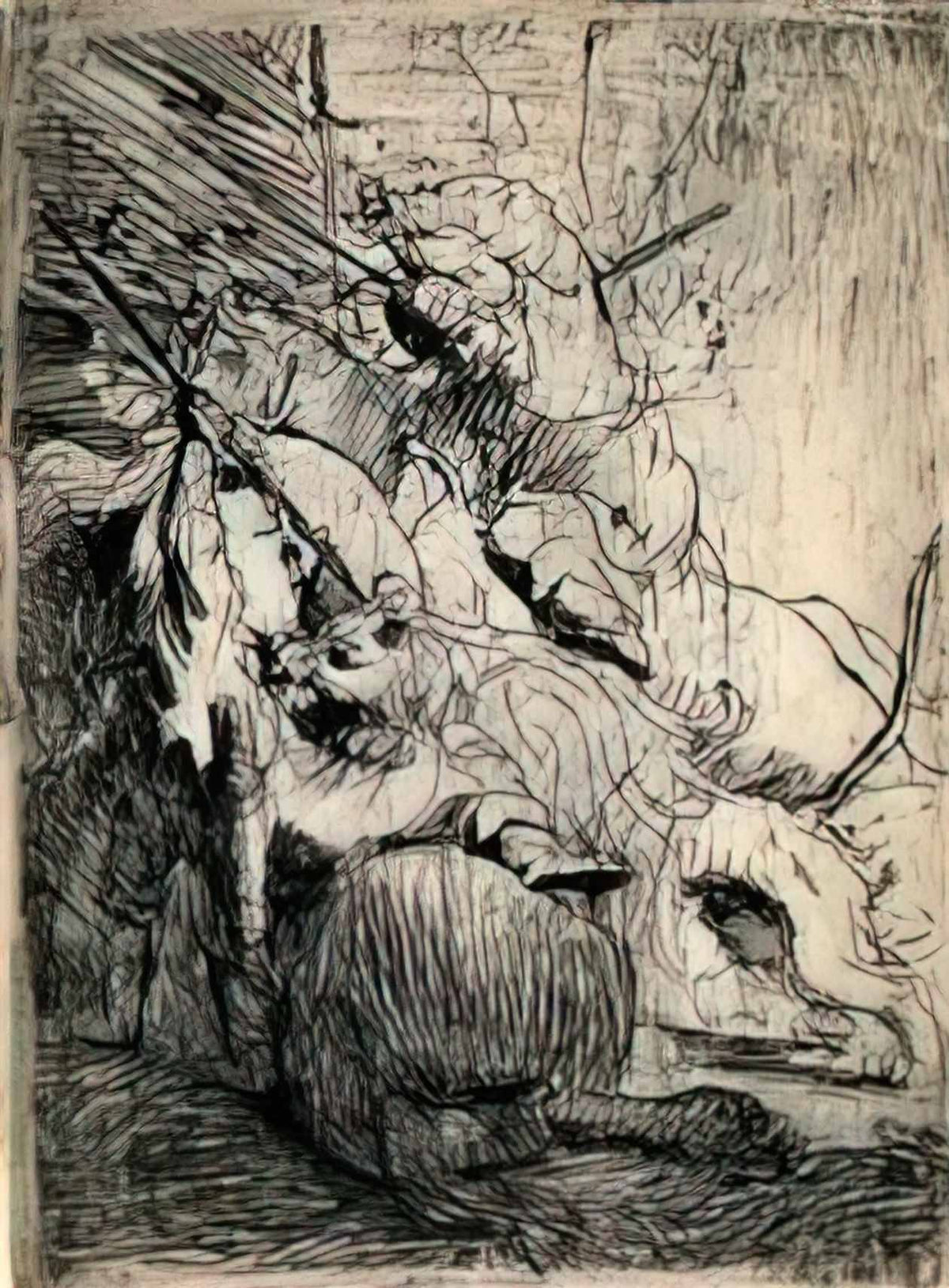 Rembrandt the small lion hunt Art A4 Photo Print