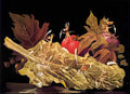 Remedios Varo amoebiasis or vegetables Art A4 Photo Print