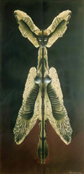 Remedios Varo female spirit of the night Art A4 Photo Print