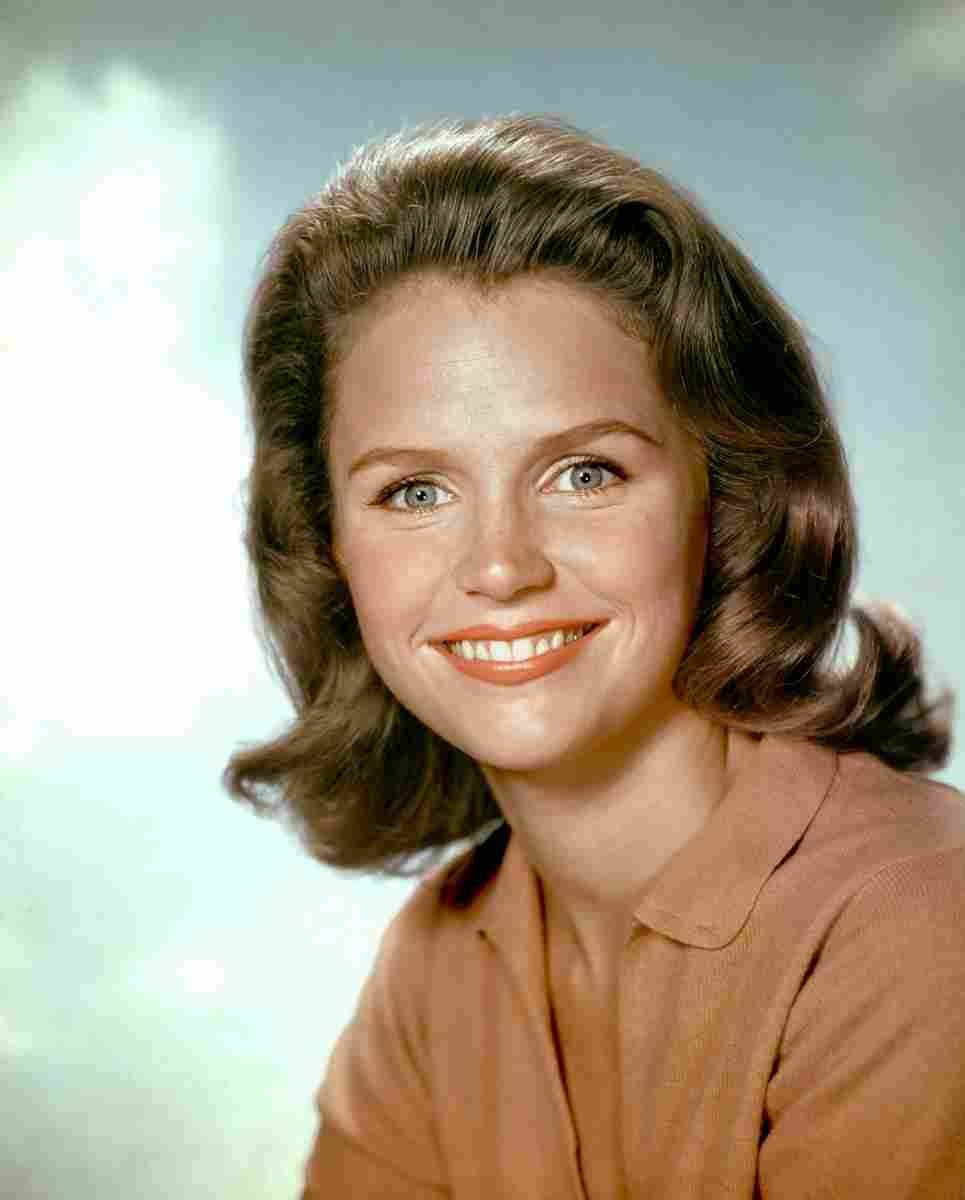 Remick Lee 3 film star poster A4 Photo Print