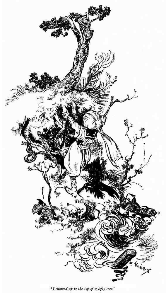 Rene Bull Page 043 Fairy Art Vintage Illustration A4 Photo Print