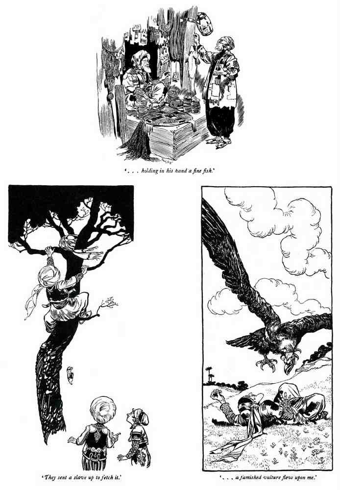 Rene Bull Page 084 Fairy Art Vintage Illustration A4 Photo Print