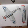 Republic P 47D 21 RE USA 1944 A4 Photo Print