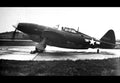 Republic Xp47h Thunderbolt Prototype Aircraft United States A4 Photo Print