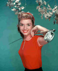 Reynolds Debbie 7 film star poster A4 Photo Print