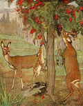 Reynolds Warwick Wild Animals 1921 A4 Photo Print