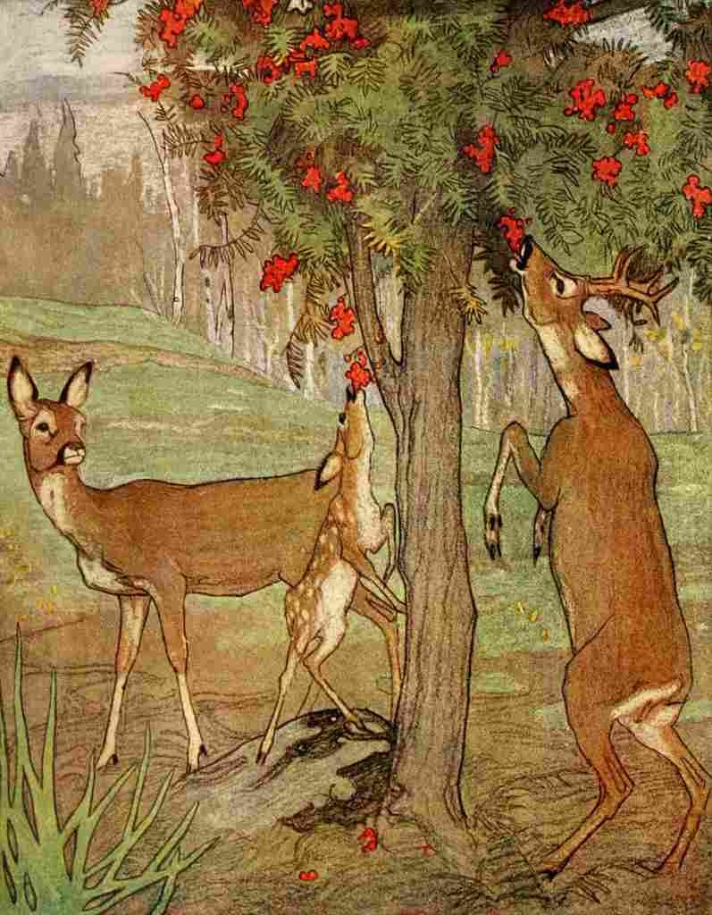Reynolds Warwick Wild Animals 1921 A4 Photo Print