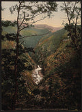 Rheidol Falls Aberystwith Vintage A4 Photo Print