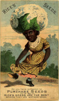 Rice Seeds Cotton Vintage Retro Advert Ads A4 Photo Print