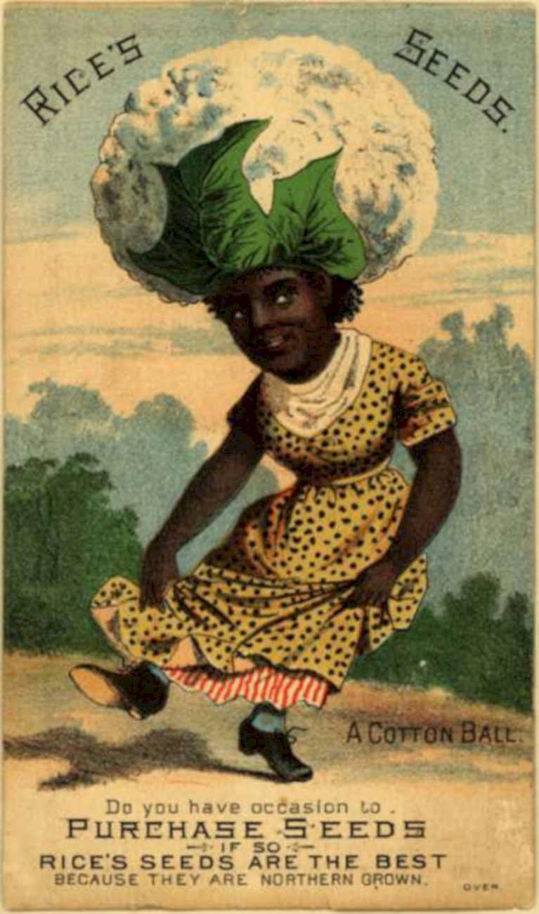Rice Seeds Cotton Vintage Retro Advert Ads A4 Photo Print