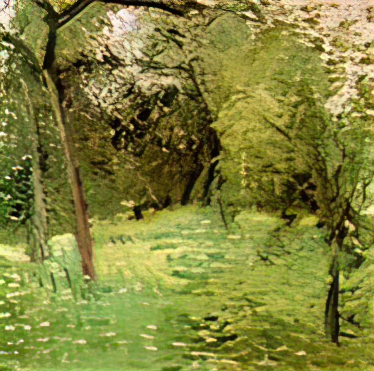 Richard Gerstl flowering meadow with trees 1907 Art A4 Photo Print
