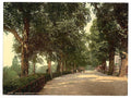 Richmond the terrace II London and suburbs Vintage A4 Photo Print