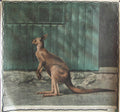 Riesenkangaroo Kangaroo Vintage Retro Advert Ads A4 Photo Print