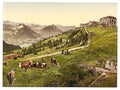 Rigi Scheidegg the Hotel Rigi Vintage A4 Photo Print