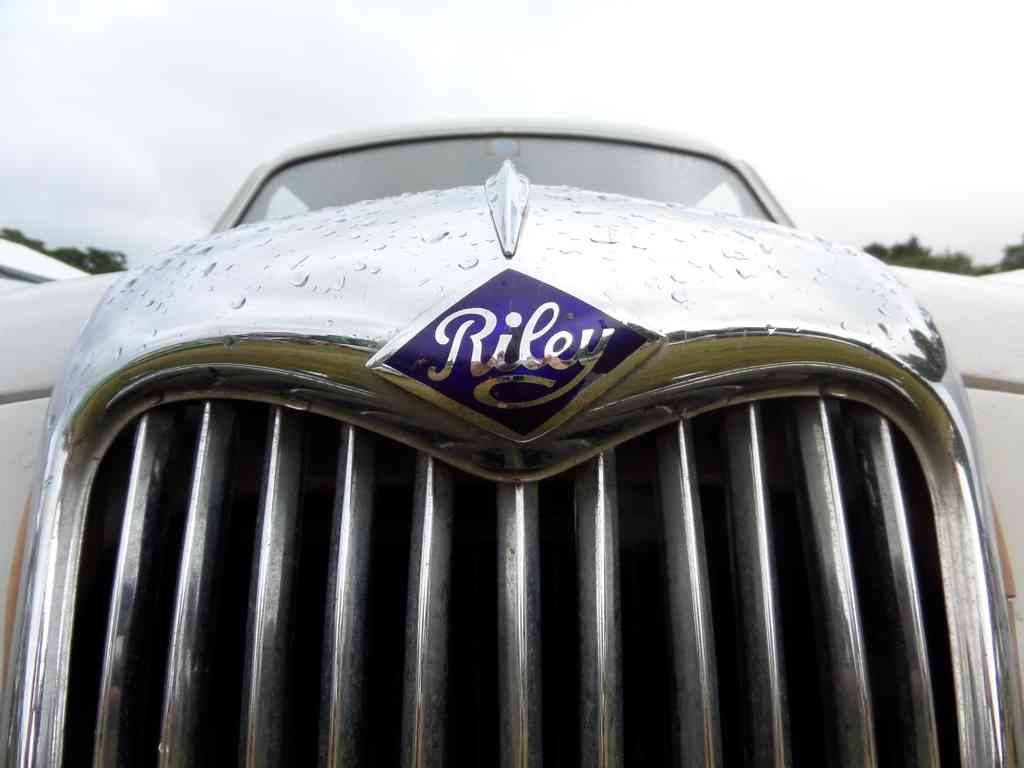 Riley Bonnet Grille Boot 2450 A4 Photo Print