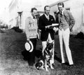 Rin Tin Tin 1 film star poster A4 Photo Print