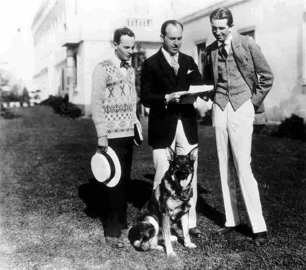 Rin Tin Tin 1 film star poster A4 Photo Print