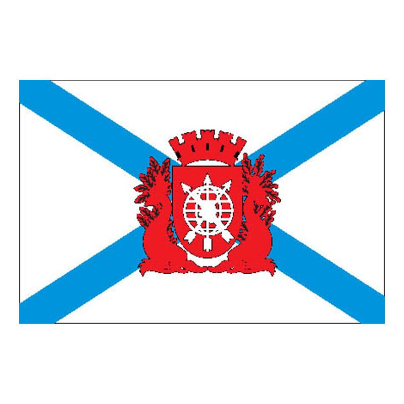 Riodejaneiro City Flag N6185 A4 Photo Print