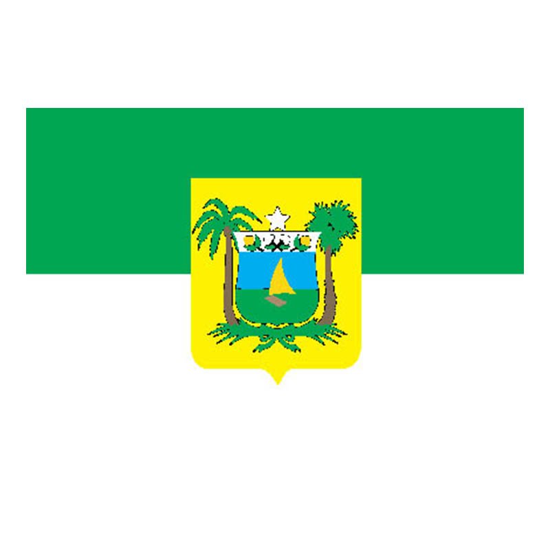 Riograndedonorte State Flag N6187 A4 Photo Print