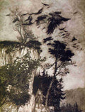 Rip Van Winkle 1905 30 A4 Photo Print