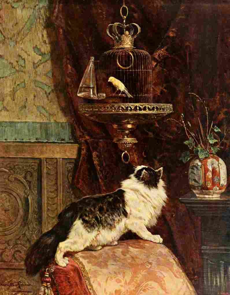Ronner Knip Henriette 1821 1909 1904 Cat stalking canary A4 Photo Print