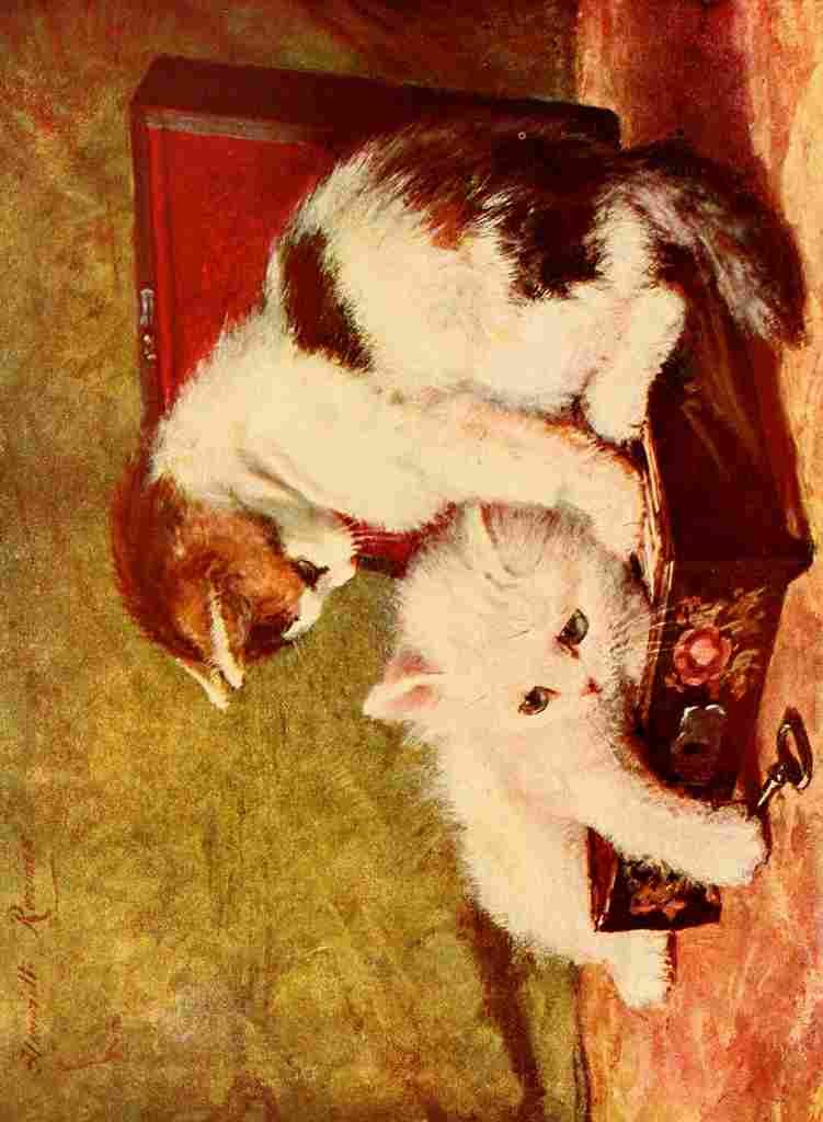 Ronner Knip Henriette 1821 1909 1907 Kittens in a box A4 Photo Print