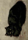 Ronner Knip Henriette Cat 1903 Black cat A4 Photo Print
