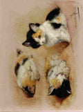 Ronner Knip Henriette awakening kitten A4 Photo Print