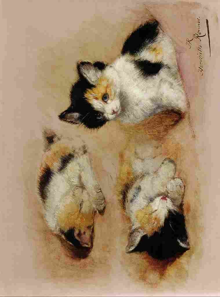 Ronner Knip Henriette awakening kitten A4 Photo Print