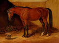 Roods The Arabian Horse 1894 Claverhouse A4 Photo Print