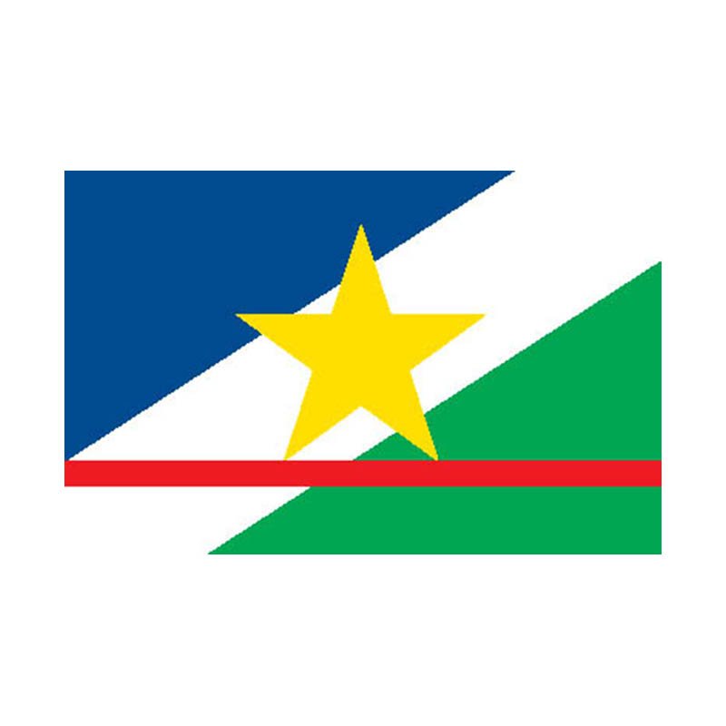 Roraima Territory Flag N4811 A4 Photo Print