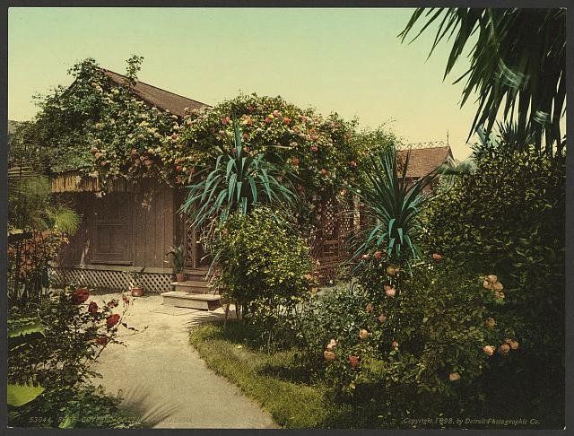 Rose covered cottage Pasadena Vintage A4 Photo Print