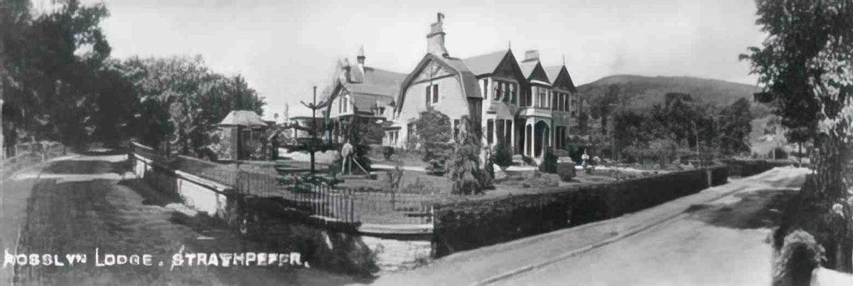 Rossshire Strathpeffer Rosslyn Lodge and Avenue Vintage A4 Photo Print